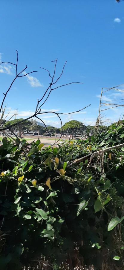 Les Iles D'Or Au Port De Hyeres Grand Studio Climatise 外观 照片