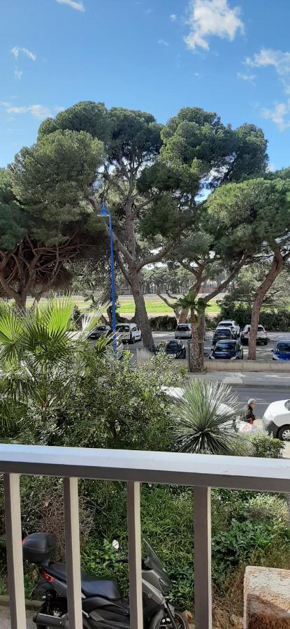 Les Iles D'Or Au Port De Hyeres Grand Studio Climatise 外观 照片