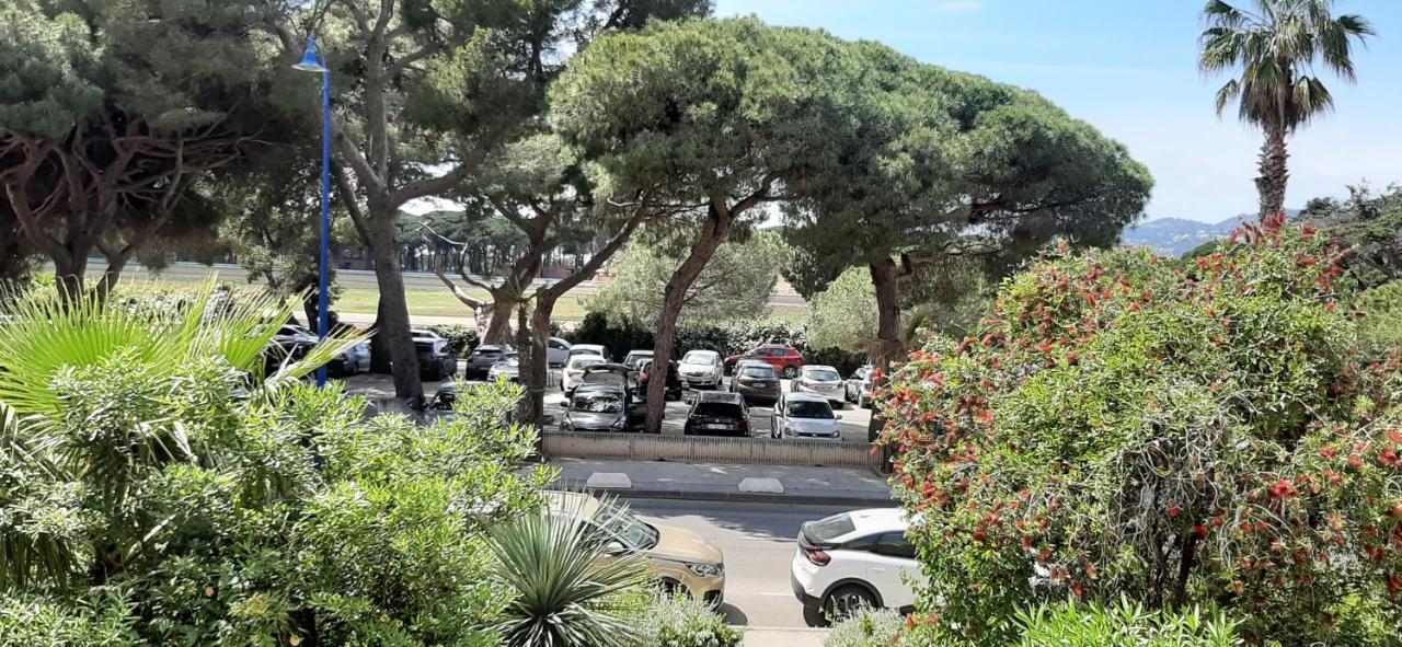 Les Iles D'Or Au Port De Hyeres Grand Studio Climatise 外观 照片