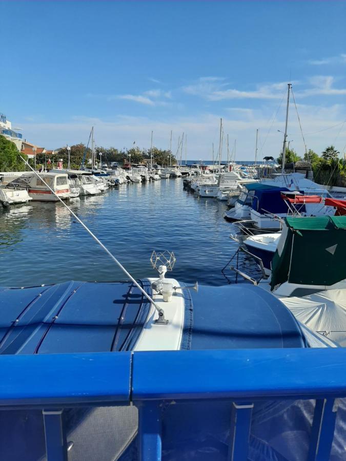 Les Iles D'Or Au Port De Hyeres Grand Studio Climatise 外观 照片