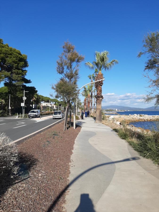 Les Iles D'Or Au Port De Hyeres Grand Studio Climatise 外观 照片